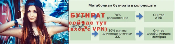 гашик Майский