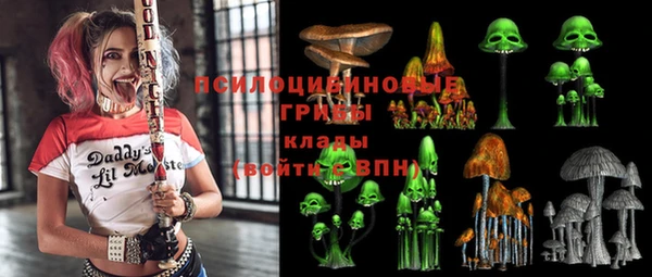стаф Магас