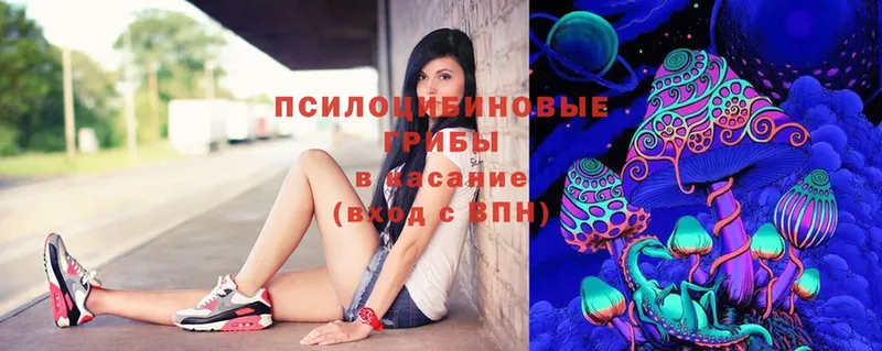 Псилоцибиновые грибы Psilocybine cubensis  где найти наркотики  Новокубанск 