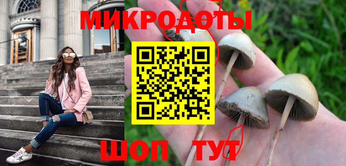Галлюциногенные грибы прущие грибы  Вход с VPN  Галлюциногенные грибы мухоморы  Новокубанск 
